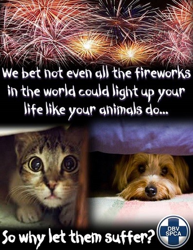 fireworks