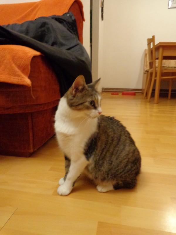 DSC07375