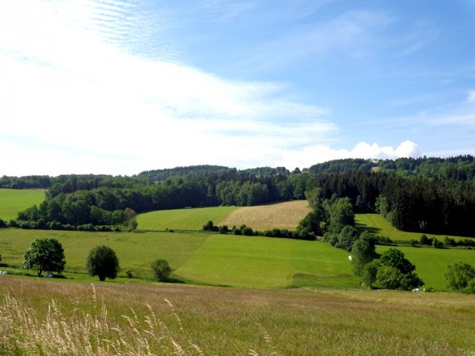 DSC08337